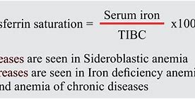 Iron Level Adalah